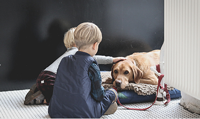 ��ͯ�����ܼҾ�